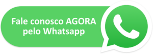 whatsapp agencia webby