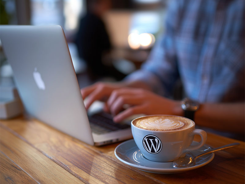 lintegrações-sites-wordpress