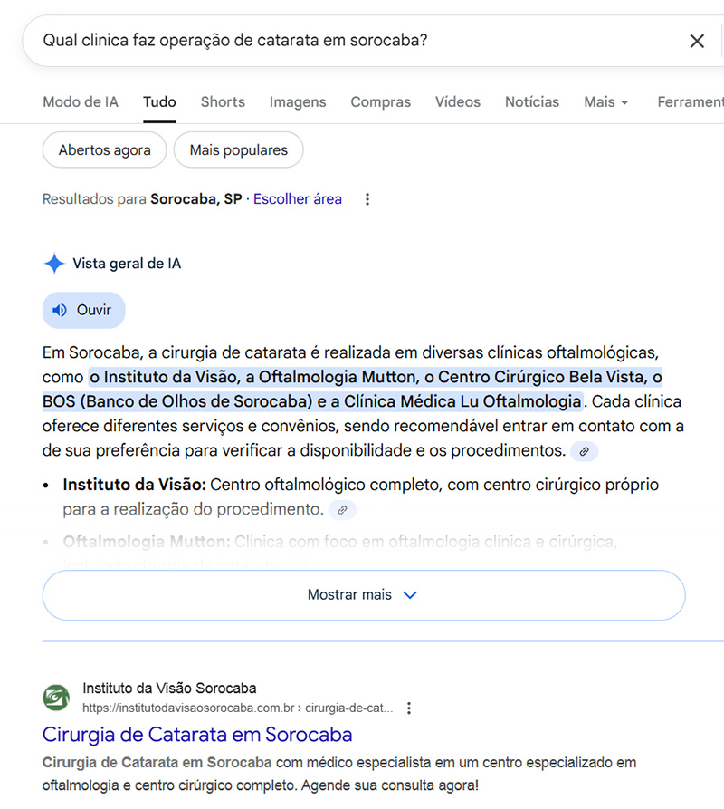 eeat-instituto-visao