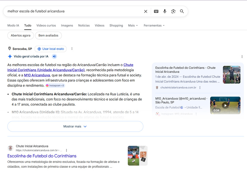 modelo de busca no google