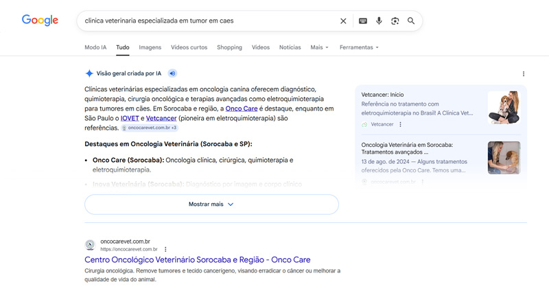 print de pesquisa google e ia overview